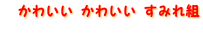 ���킢�� ���킢�� ���݂�g �@ 
