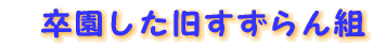 �����������F�B
